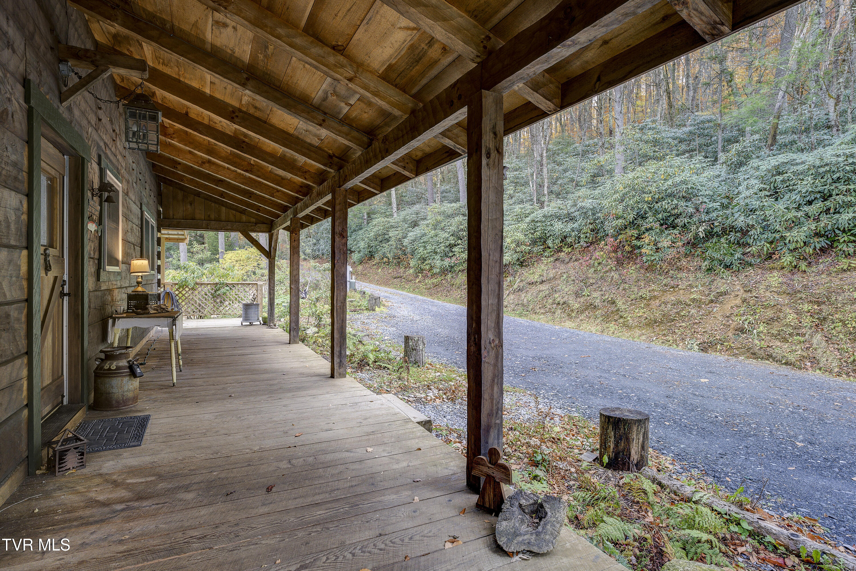 368 Ripshin Lake Road Roan Mountain, TN 37687 - Photo 24 of 100 Ripshin-49