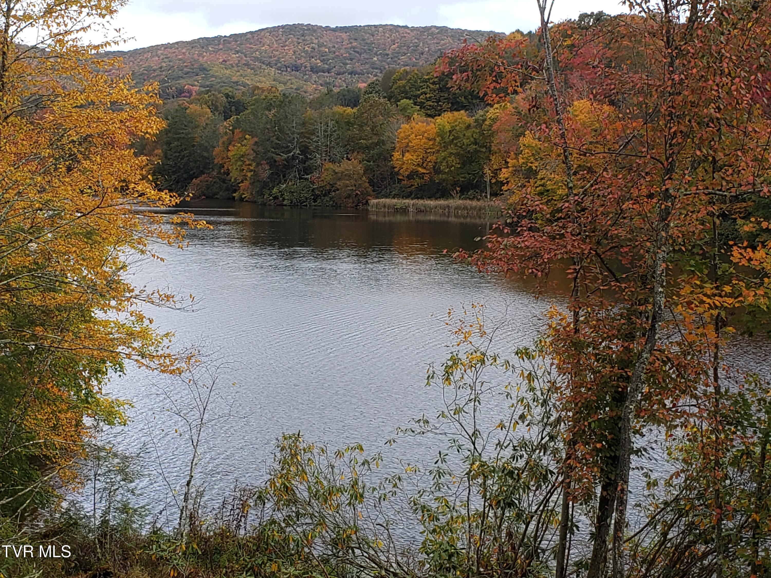 368 Ripshin Lake Road Roan Mountain, TN 37687 - Photo 25 of 100 20201011_111337