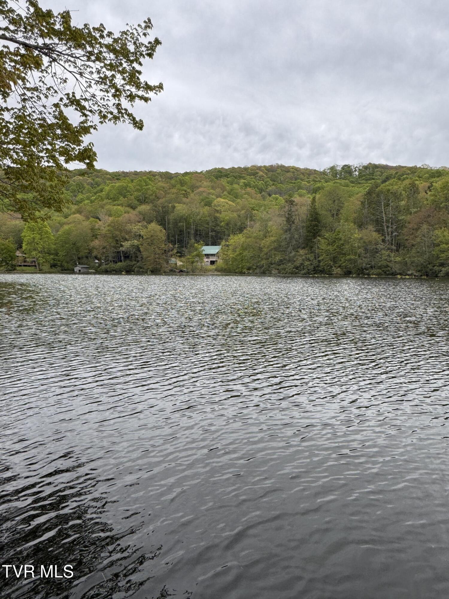 368 Ripshin Lake Road Roan Mountain, TN 37687 - Photo 3 of 100 IMG_3803