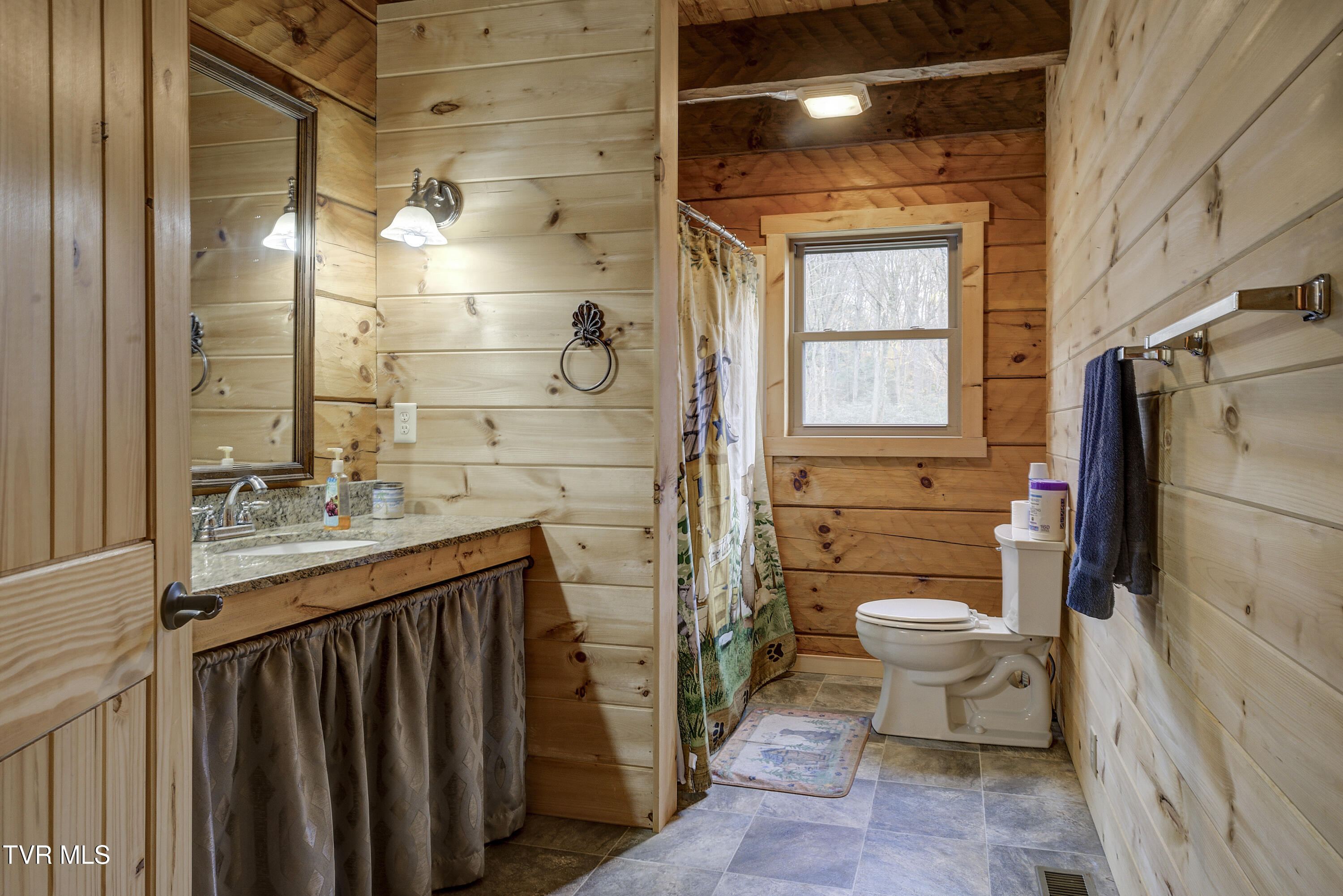 368 Ripshin Lake Road Roan Mountain, TN 37687 - Photo 39 of 100 Ripshin-2