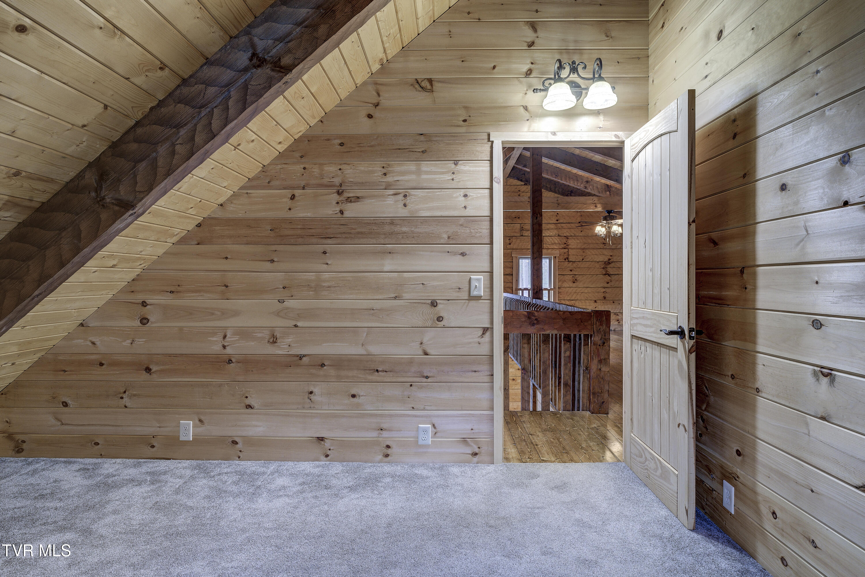 368 Ripshin Lake Road Roan Mountain, TN 37687 - Photo 47 of 100 Ripshin-21
