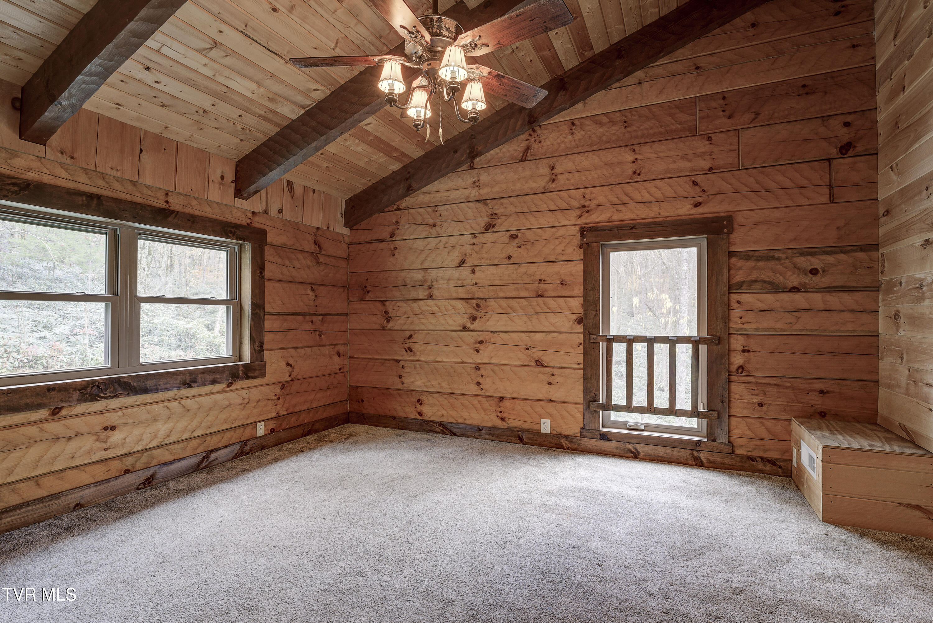 368 Ripshin Lake Road Roan Mountain, TN 37687 - Photo 49 of 100 Ripshin-23