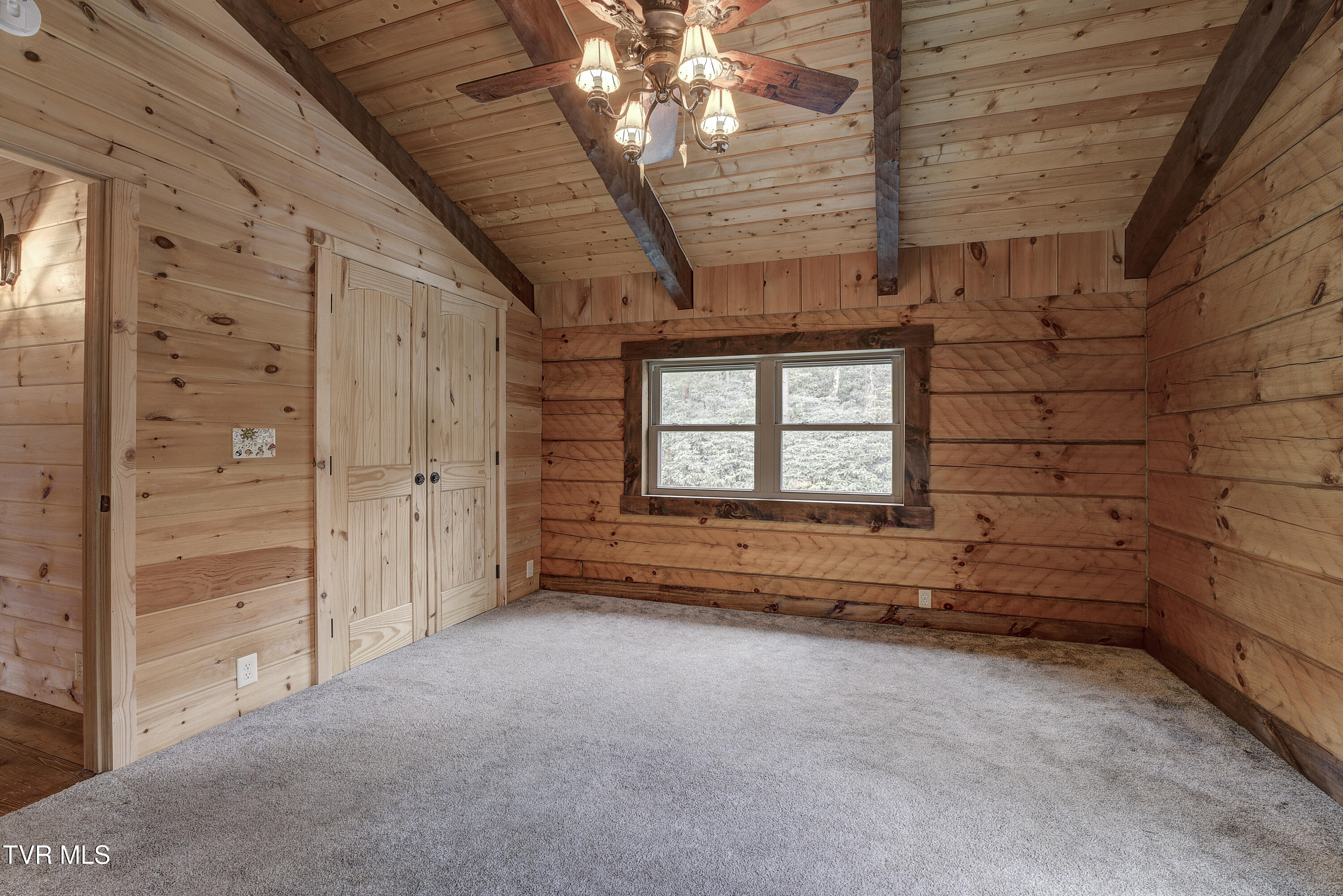 368 Ripshin Lake Road Roan Mountain, TN 37687 - Photo 50 of 100 Ripshin-24