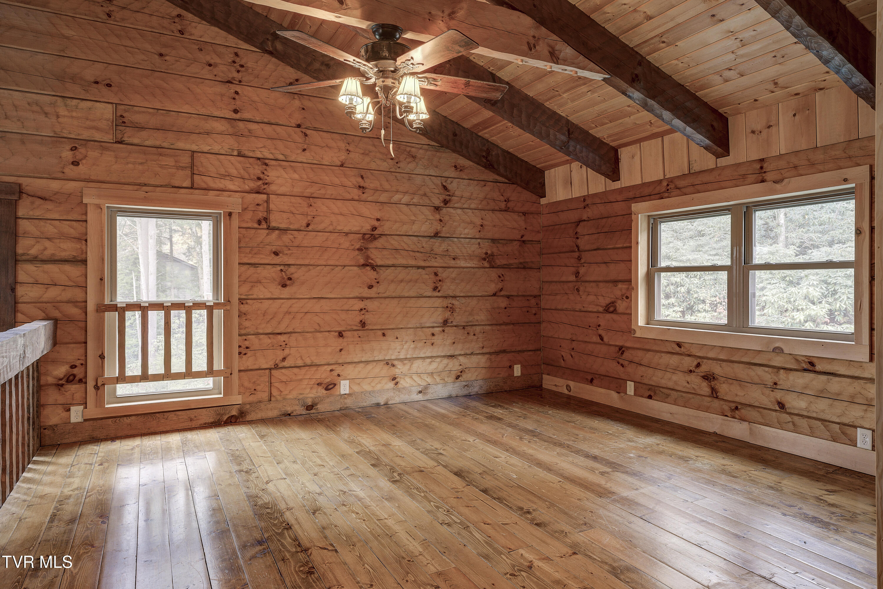 368 Ripshin Lake Road Roan Mountain, TN 37687 - Photo 51 of 100 Ripshin-25