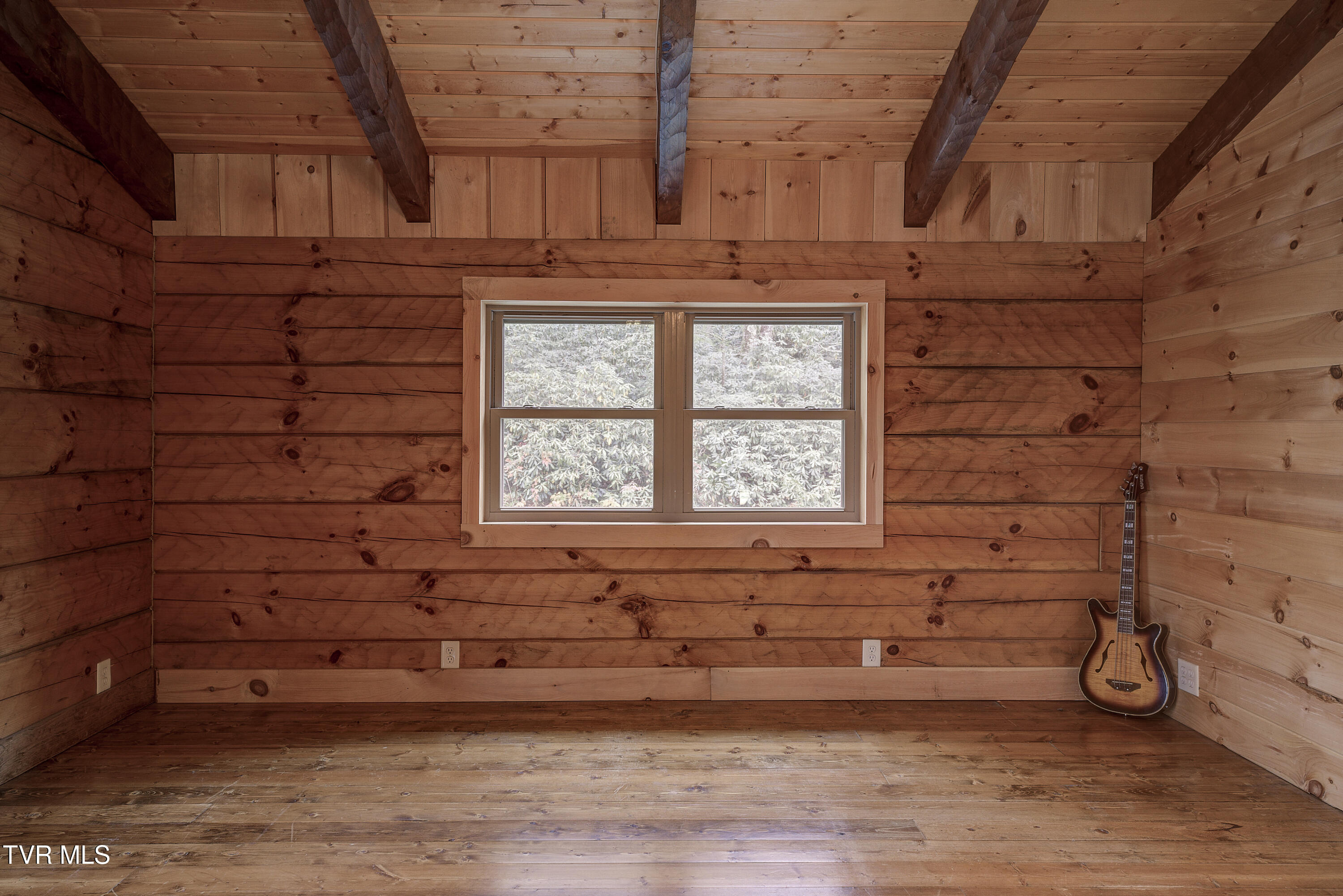 368 Ripshin Lake Road Roan Mountain, TN 37687 - Photo 52 of 100 Ripshin-26