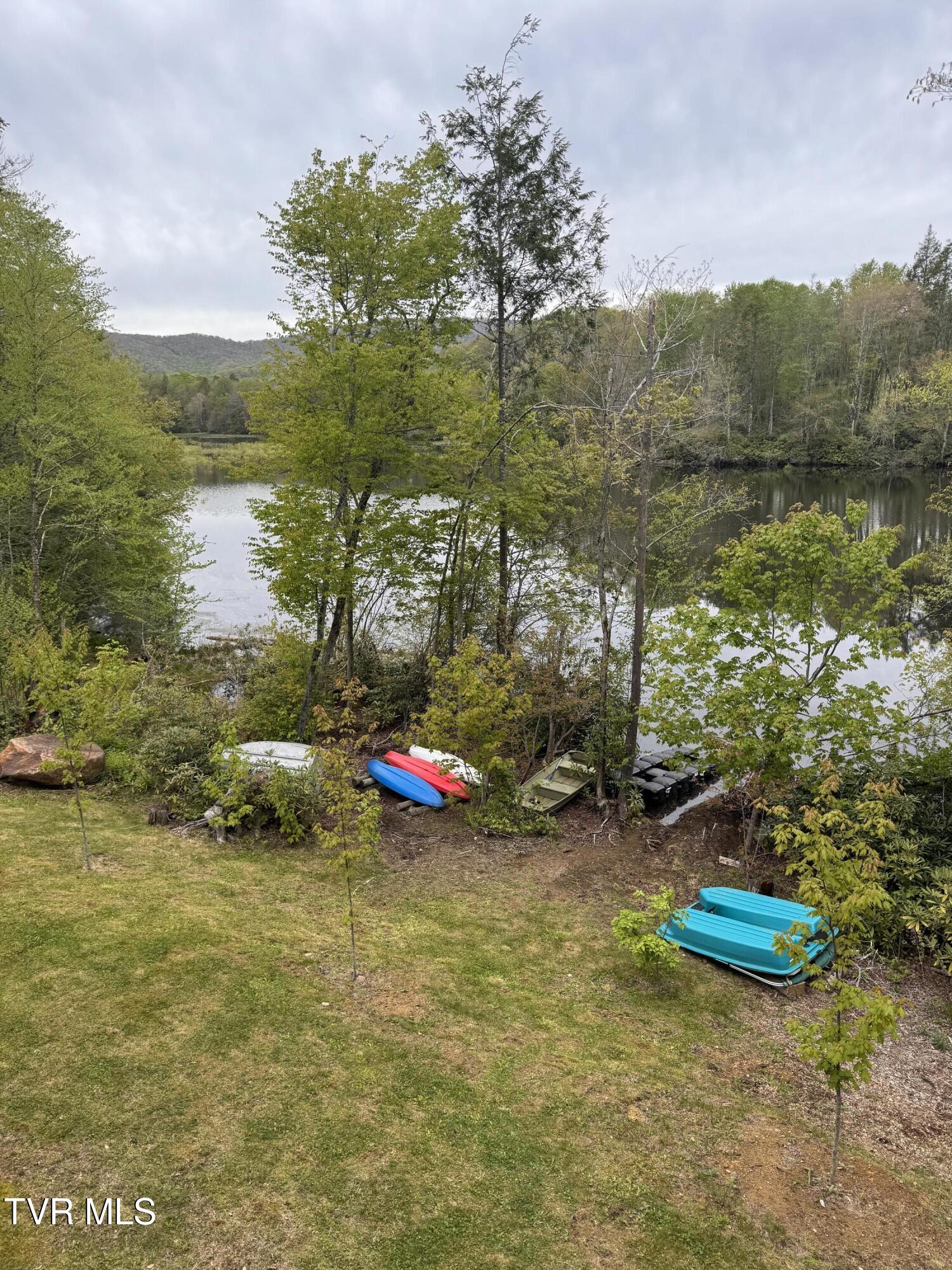 368 Ripshin Lake Road Roan Mountain, TN 37687 - Photo 6 of 100 IMG_3807