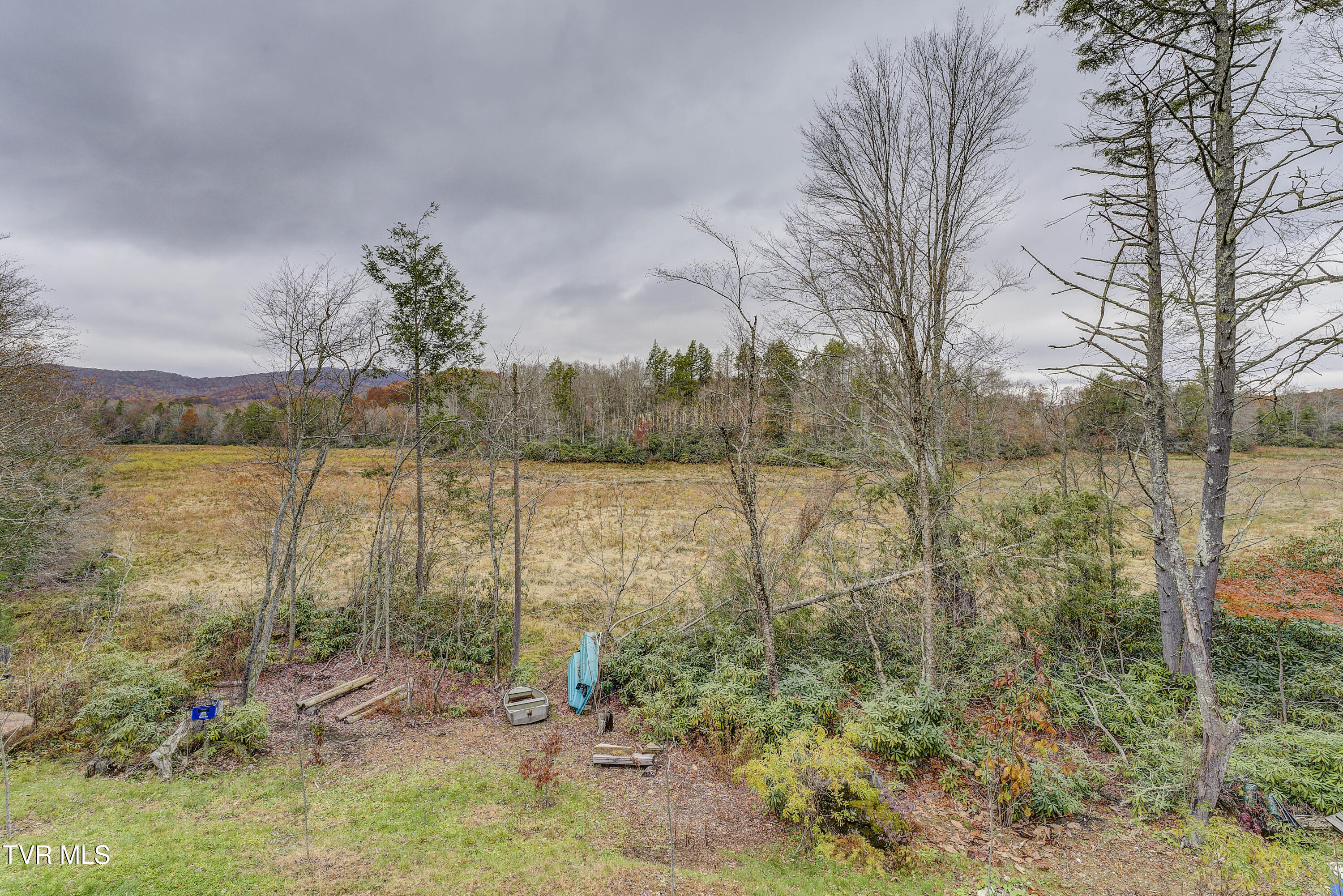 368 Ripshin Lake Road Roan Mountain, TN 37687 - Photo 73 of 100 Ripshin-56