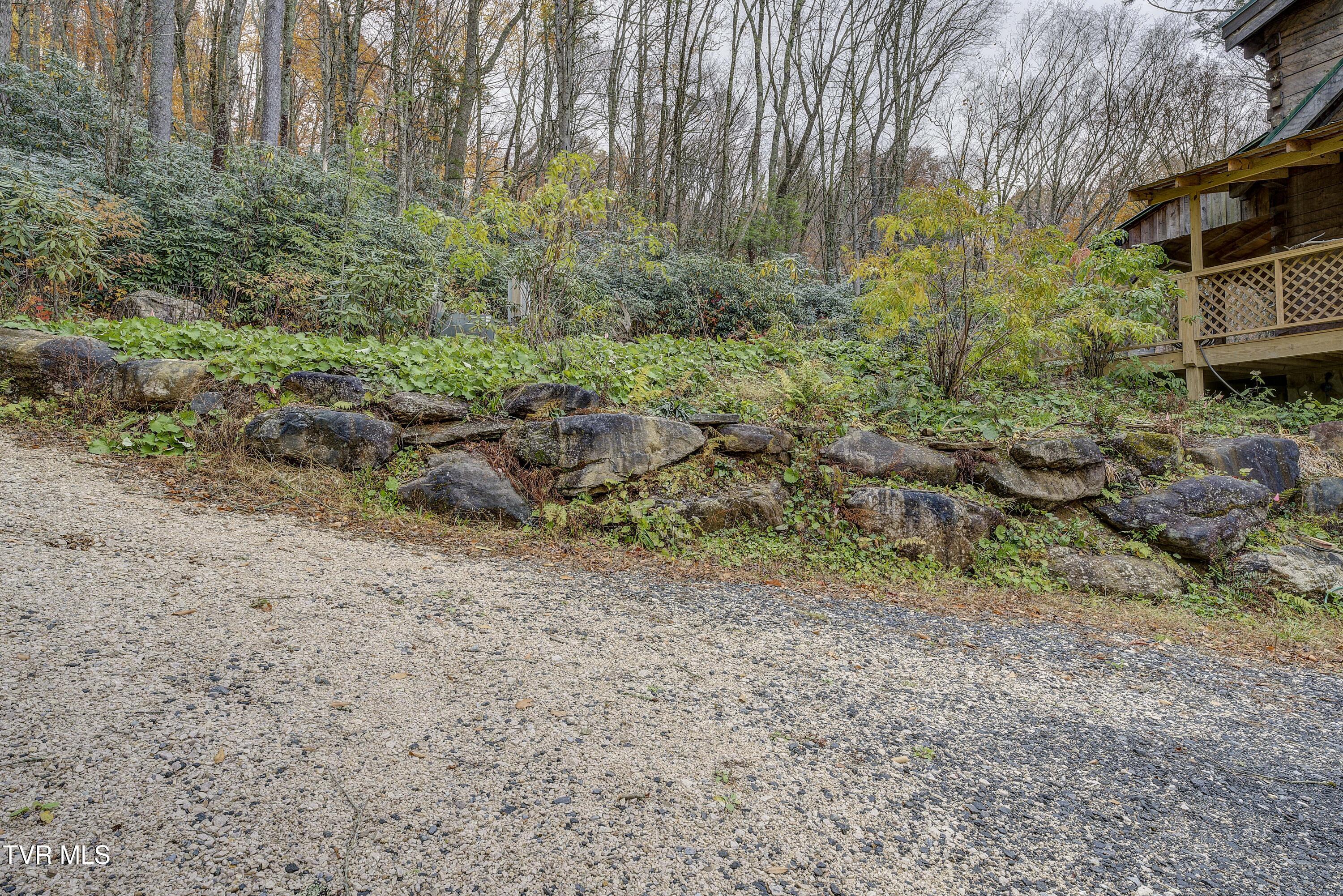 368 Ripshin Lake Road Roan Mountain, TN 37687 - Photo 75 of 100 Ripshin-60