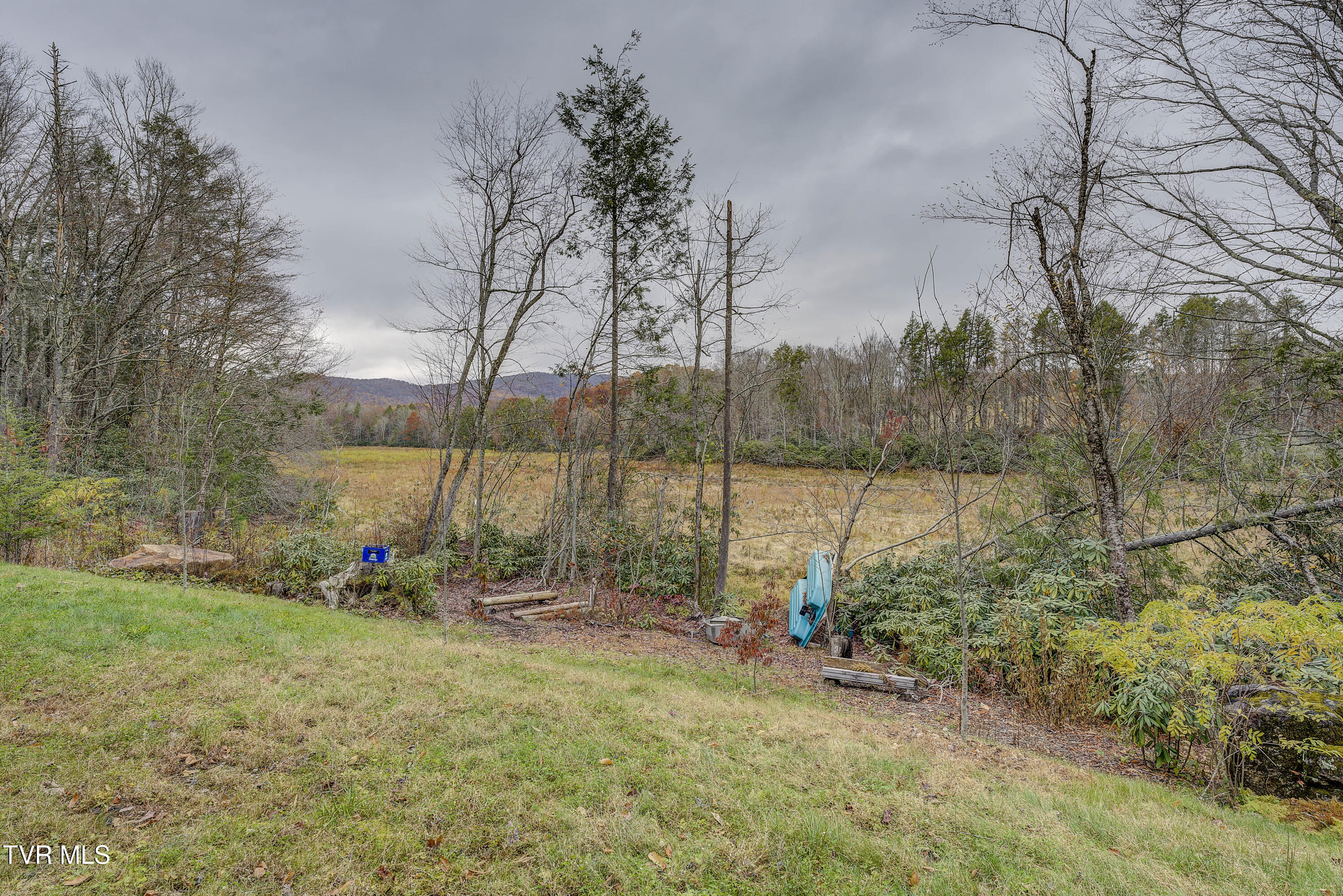 368 Ripshin Lake Road Roan Mountain, TN 37687 - Photo 79 of 100 Ripshin-65