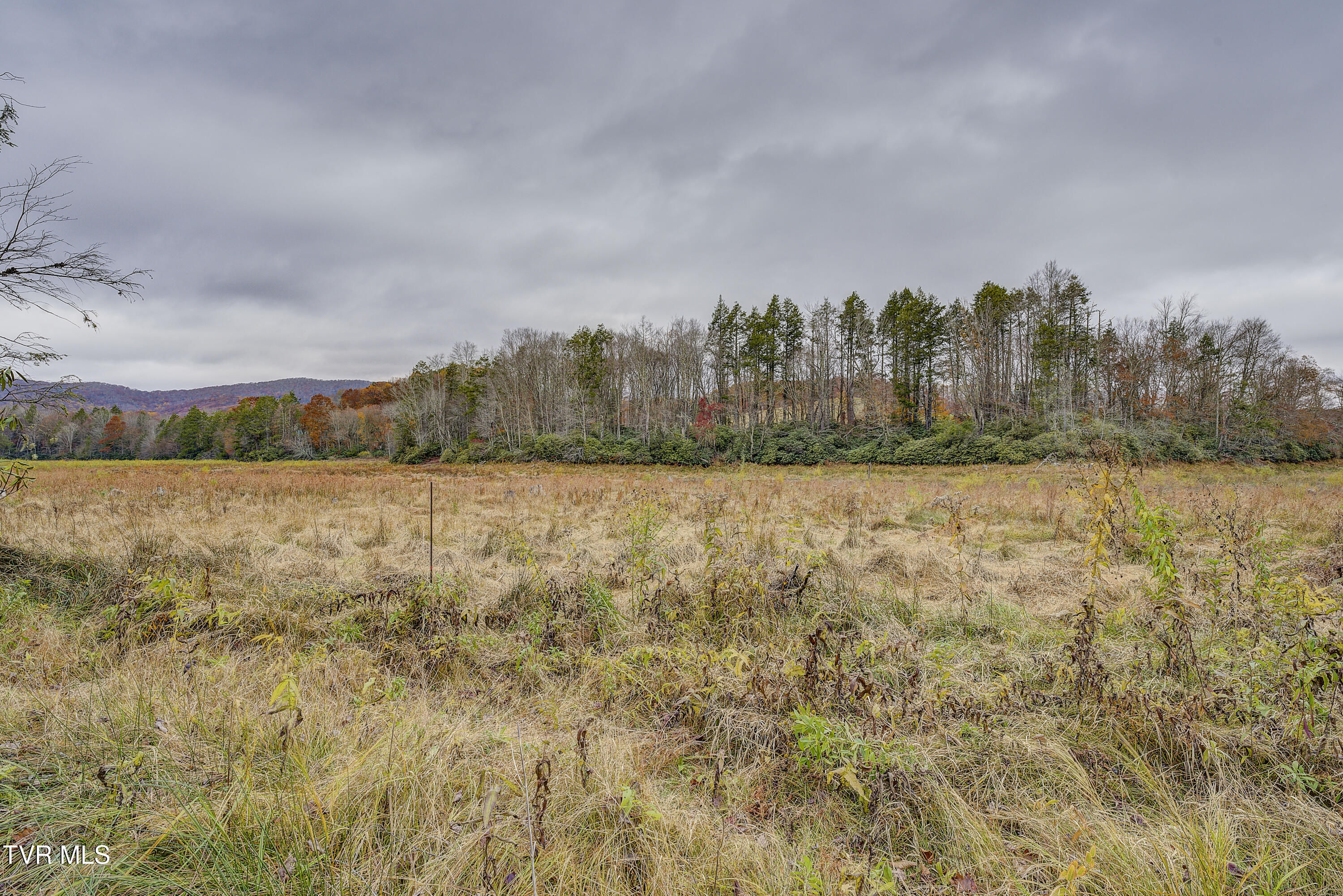 368 Ripshin Lake Road Roan Mountain, TN 37687 - Photo 80 of 100 Ripshin-66