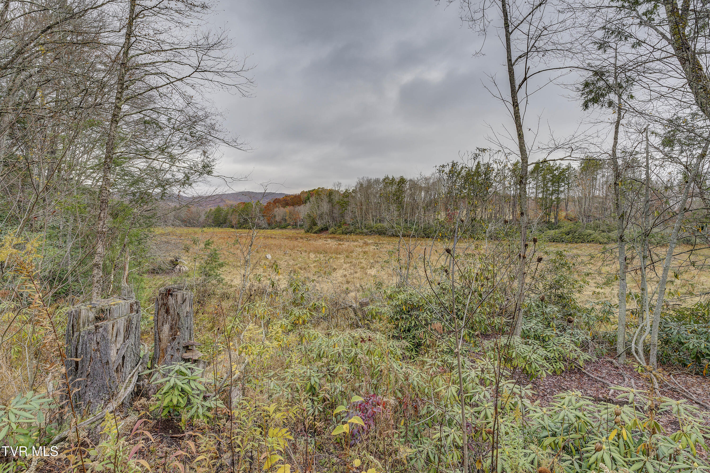 368 Ripshin Lake Road Roan Mountain, TN 37687 - Photo 82 of 100 Ripshin-68