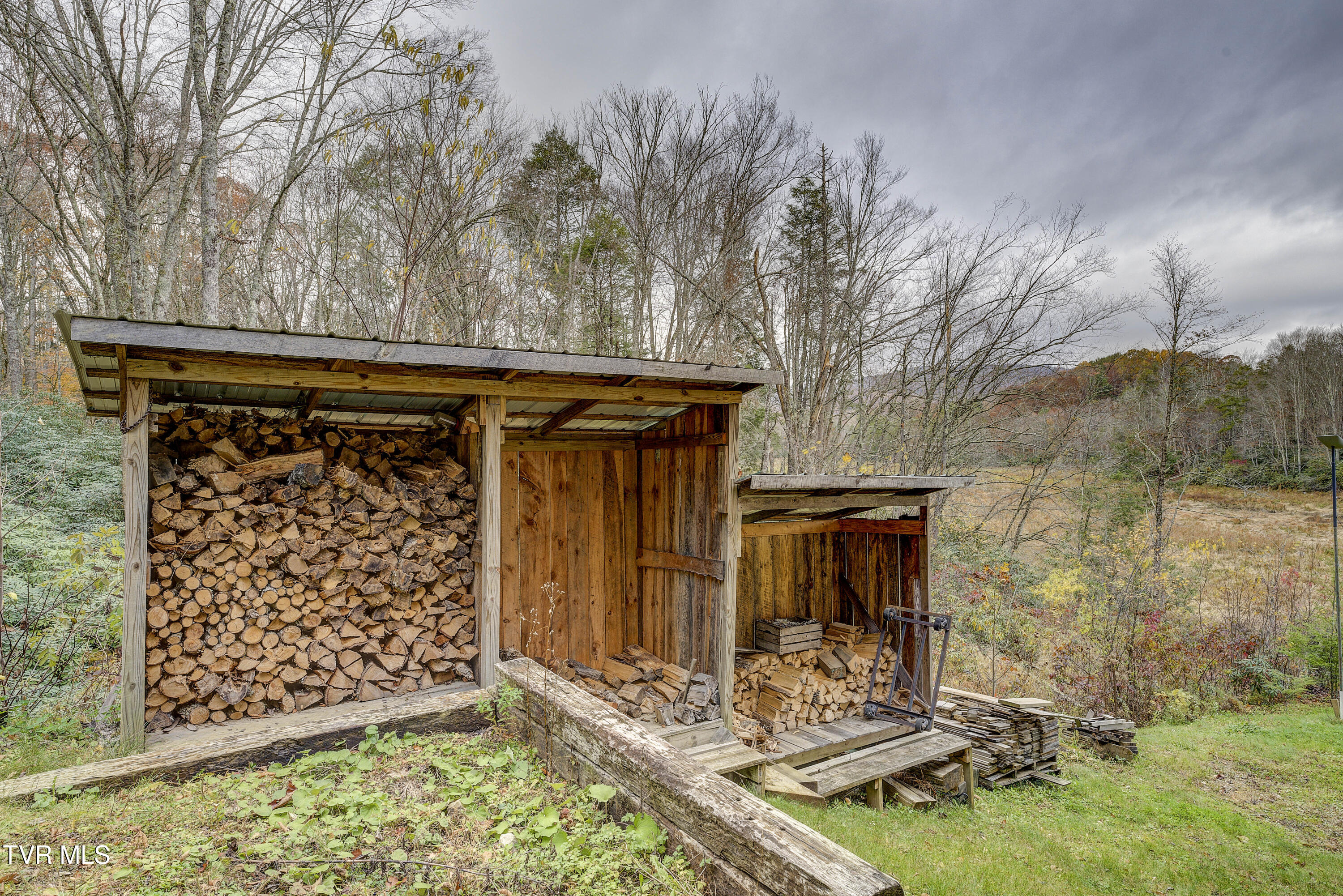 368 Ripshin Lake Road Roan Mountain, TN 37687 - Photo 85 of 100 Ripshin-71