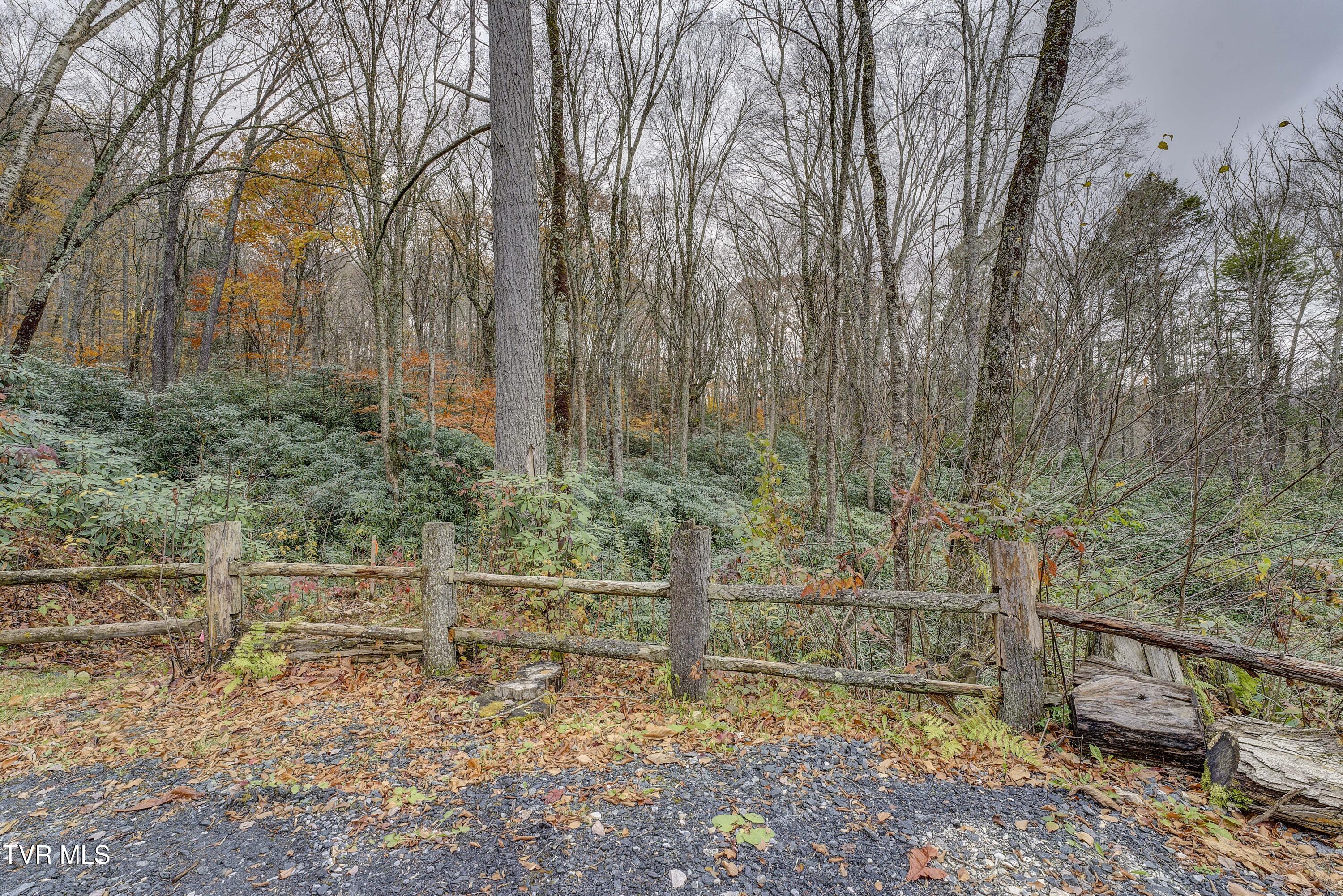 368 Ripshin Lake Road Roan Mountain, TN 37687 - Photo 87 of 100 Ripshin-73