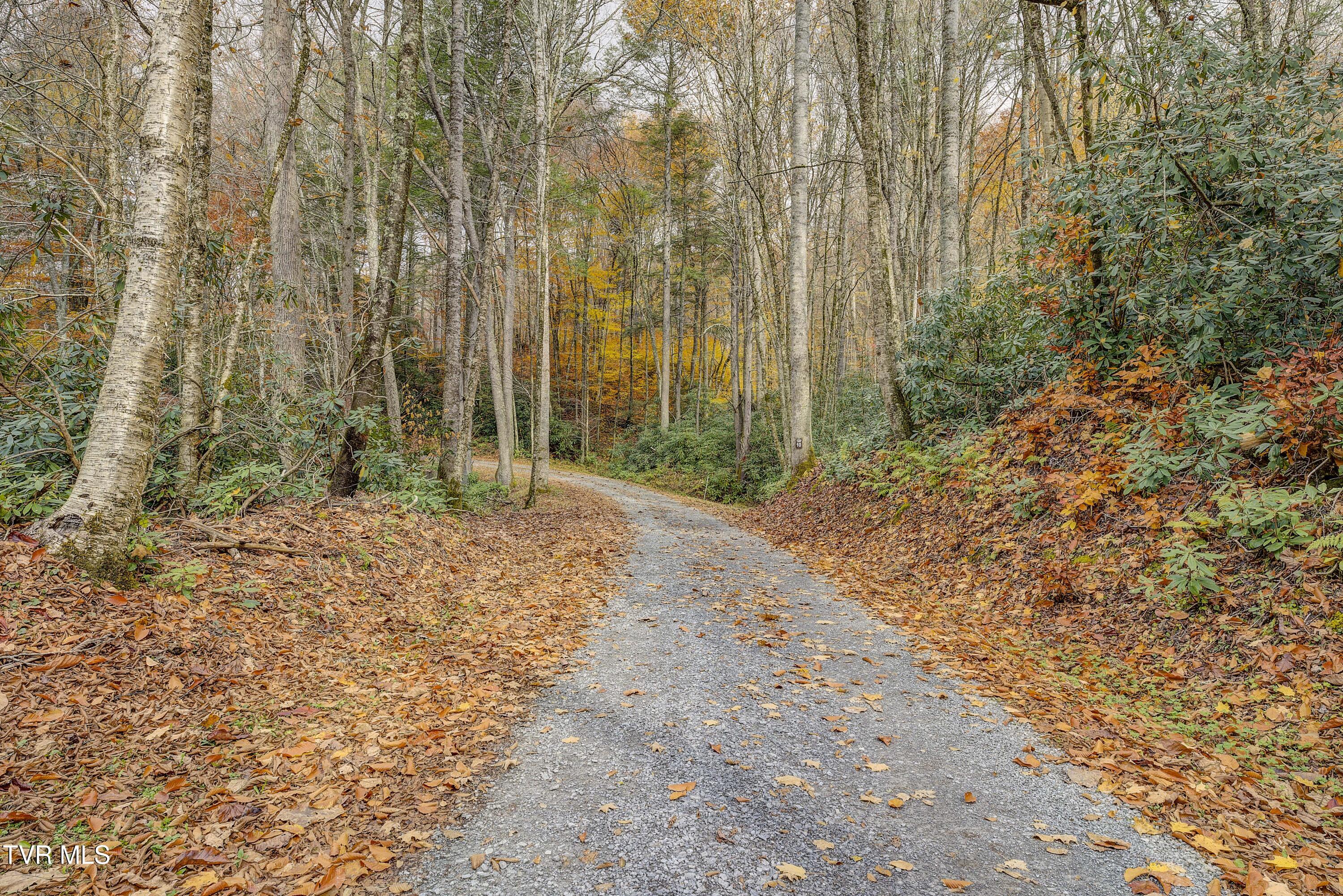 368 Ripshin Lake Road Roan Mountain, TN 37687 - Photo 88 of 100 Ripshin-75