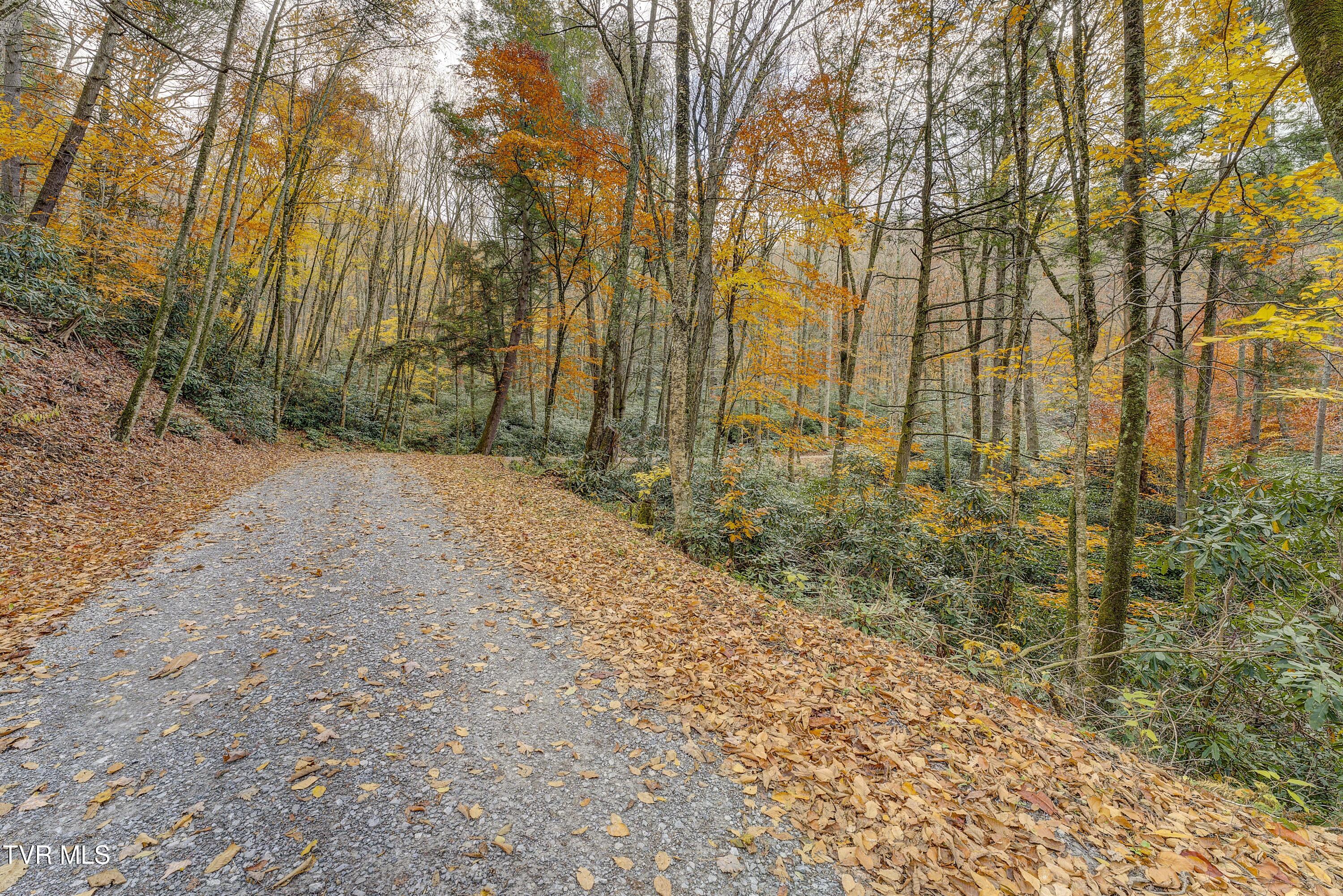 368 Ripshin Lake Road Roan Mountain, TN 37687 - Photo 89 of 100 Ripshin-76