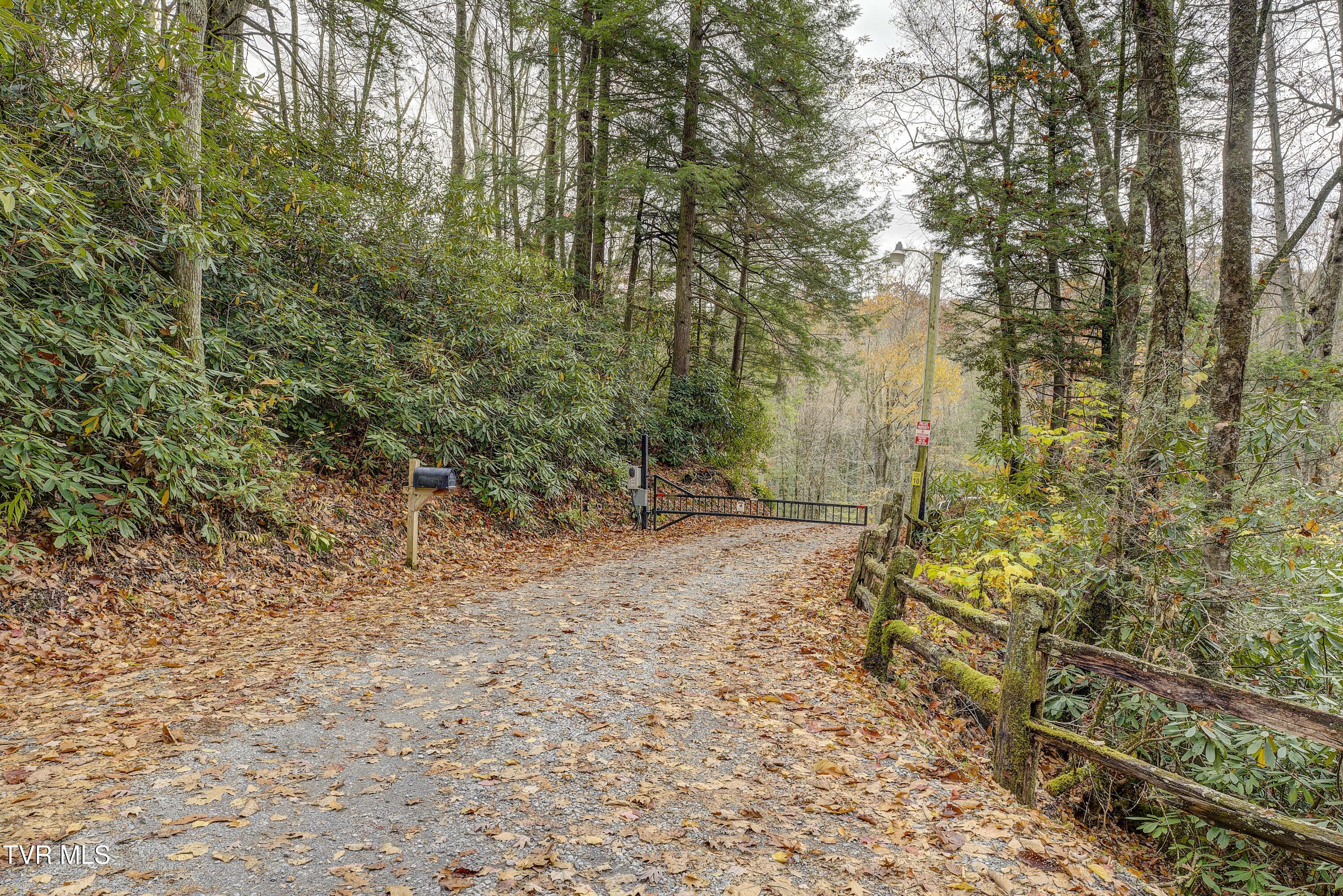368 Ripshin Lake Road Roan Mountain, TN 37687 - Photo 91 of 100 Ripshin-78