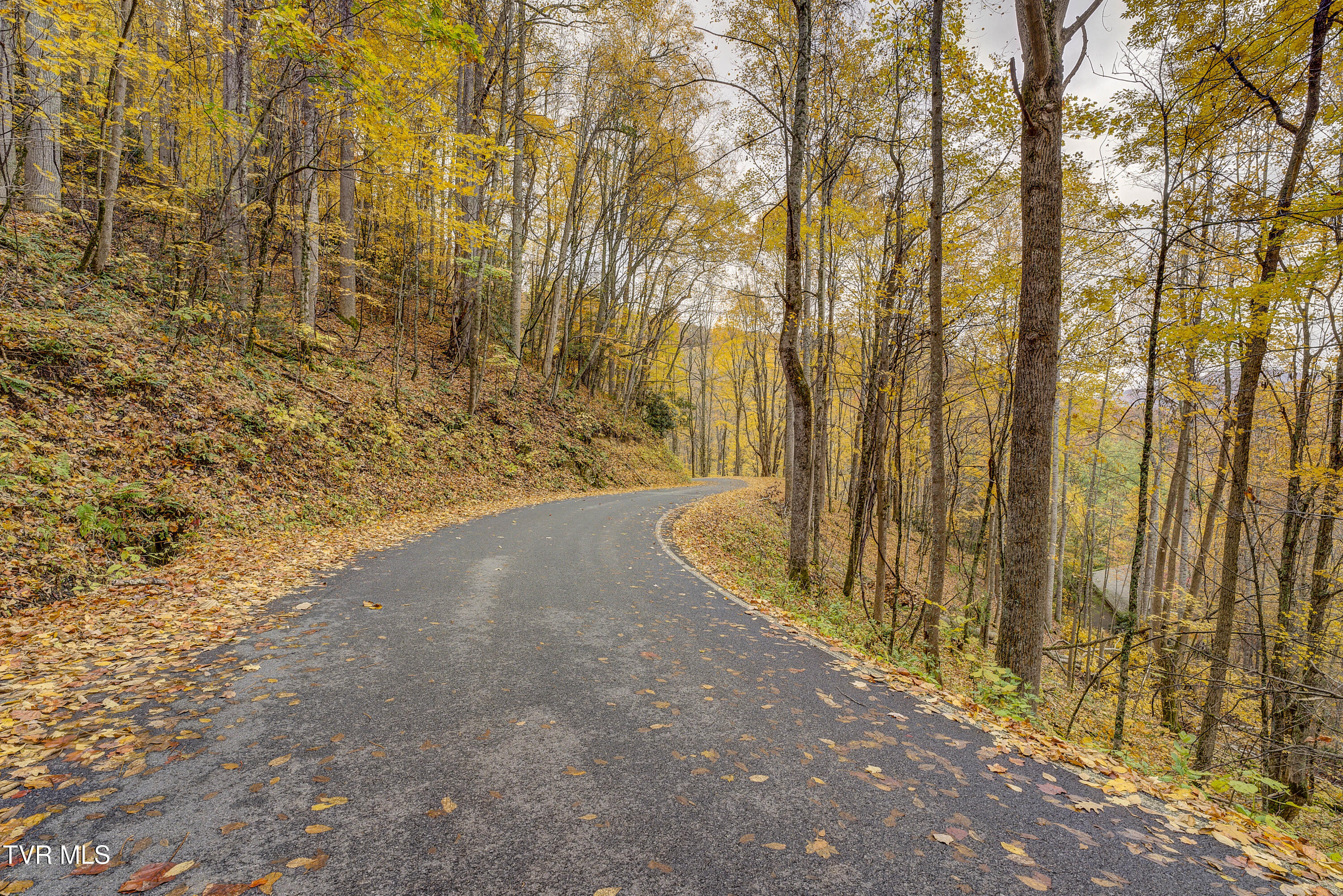 368 Ripshin Lake Road Roan Mountain, TN 37687 - Photo 92 of 100 Ripshin-79