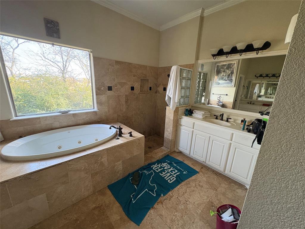709 Timberview Court North Fort Worth, TX 76112 - Photo 8 of 14 a bathroom with a tub a sink and a window