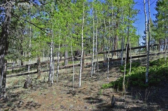 57 Ute Road Florissant, CO 80816 - Photo 14 of 18 North View
