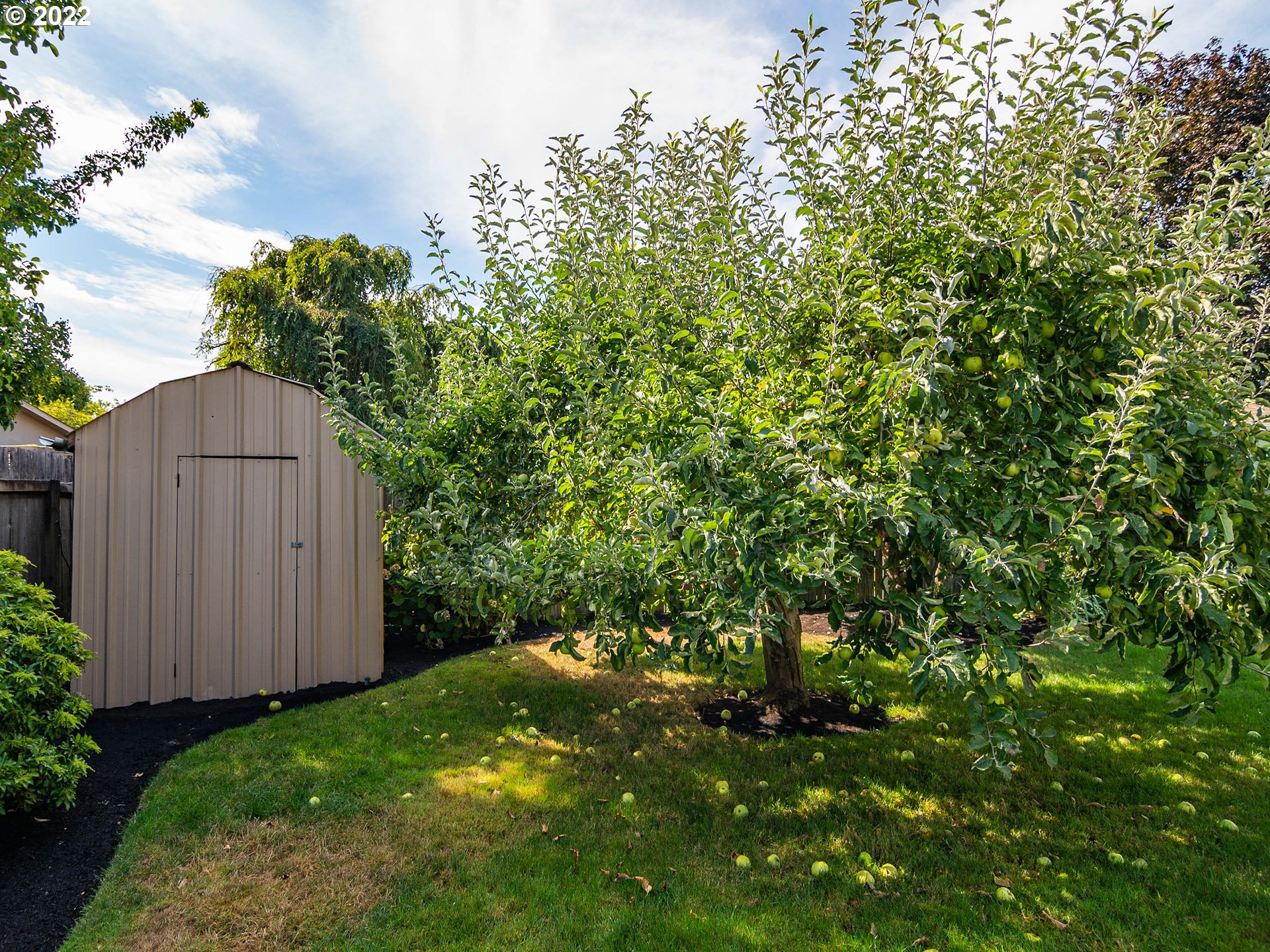 1819 Yenta Avenue Springfield, OR 97477 - Photo 27 of 32 Gallery Image 27
