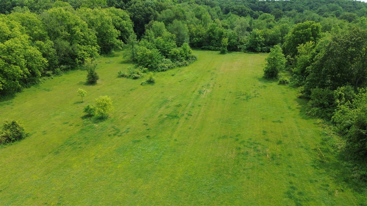 17281 Ely Road Manchester, MI 48158 - Photo 58 of 90