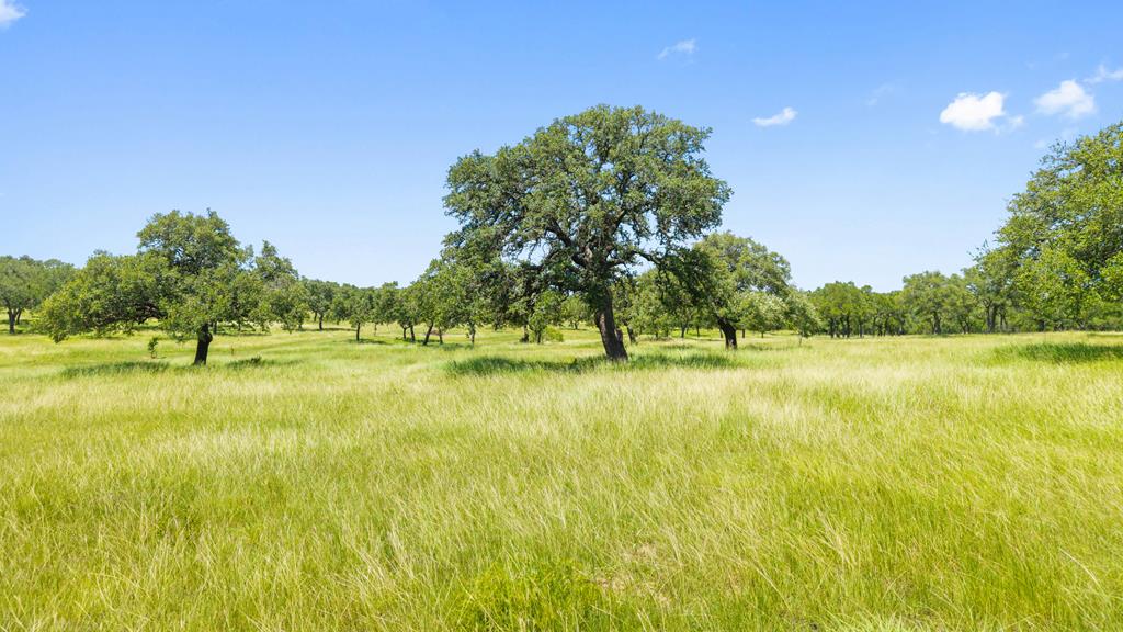 5059 Trainer Wuest Road Blanco, TX 78606 - Photo 43 of 56 Gallery Image 43
