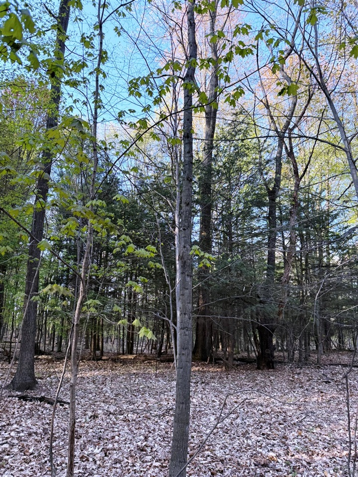 0 West Adams Road Hesperia, MI 49421 - Photo 45 of 74