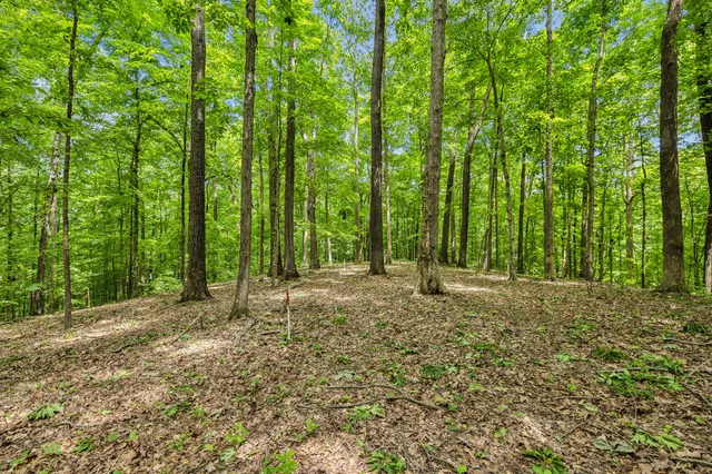 $547,950 | 1 Crocker Springs Road, Goodlettsville, TN 37072