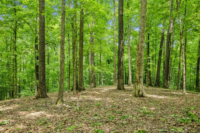 $547,950 | 1 Crocker Springs Road, Goodlettsville, TN 37072