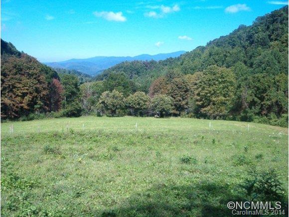 1130 Burton Cove Road Marshall, NC 28753 - Photo 1 of 15 Gallery Image 1