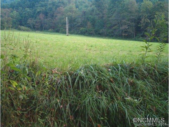 1130 Burton Cove Road Marshall, NC 28753 - Photo 13 of 15 Gallery Image 13