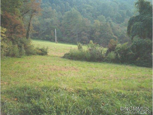 1130 Burton Cove Road Marshall, NC 28753 - Photo 3 of 15 Gallery Image 3