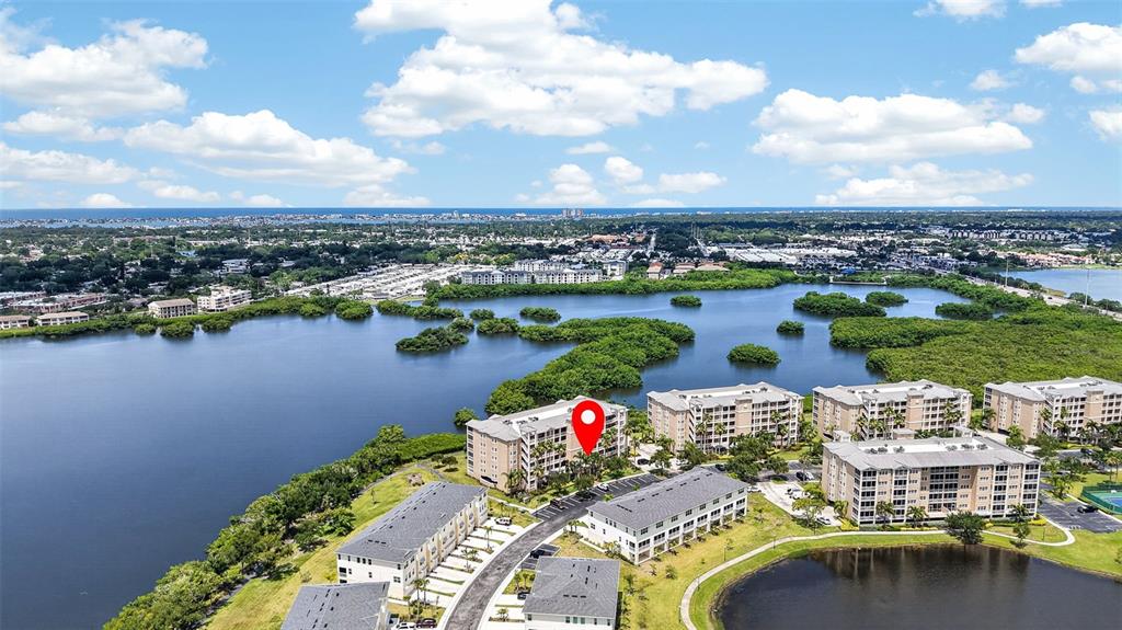 10002 Key Haven Road, Unit 204 Seminole, FL 33777 - Photo 7 of 73