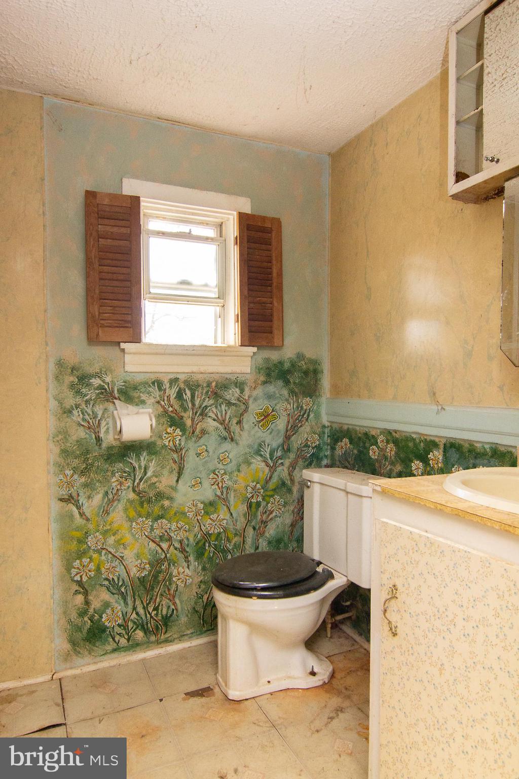 10101 Liberty Road Randallstown, MD 21133 - Photo 18 of 37 UL full bath