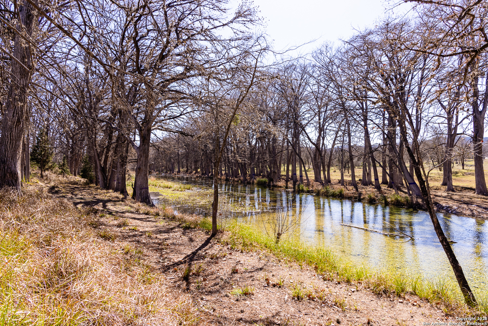2300 Little Dry Frio Road Rio Frio, TX 78873 - Photo 24 of 24