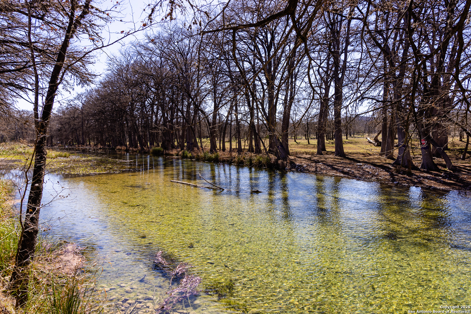 2300 Little Dry Frio Road Rio Frio, TX 78873 - Photo 5 of 24