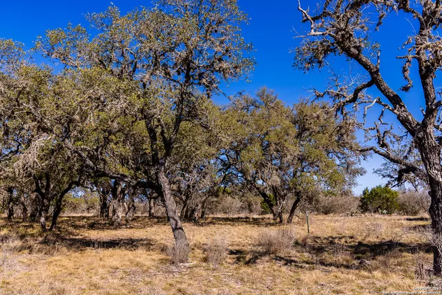 $270,875 | 2300 Little Dry Frio Road, Rio Frio, TX 78873