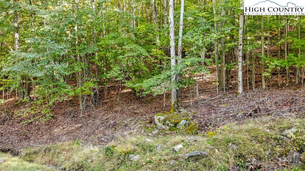 132 Locust Ridge Road Beech Mountain, NC 28604 - Photo 1 of 8 Gallery Image 1