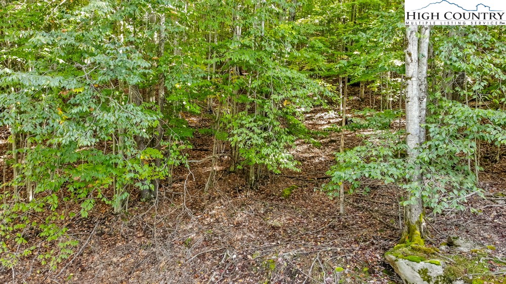 132 Locust Ridge Road Beech Mountain, NC 28604 - Photo 5 of 8 Gallery Image 5
