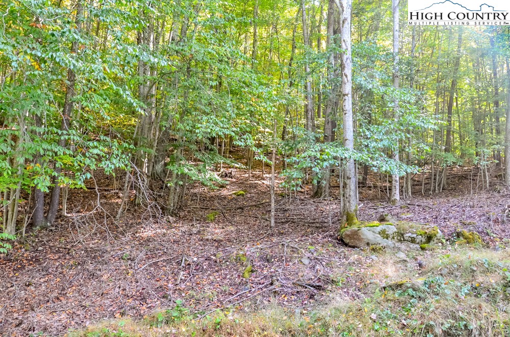 132 Locust Ridge Road Beech Mountain, NC 28604 - Photo 6 of 8 Gallery Image 6