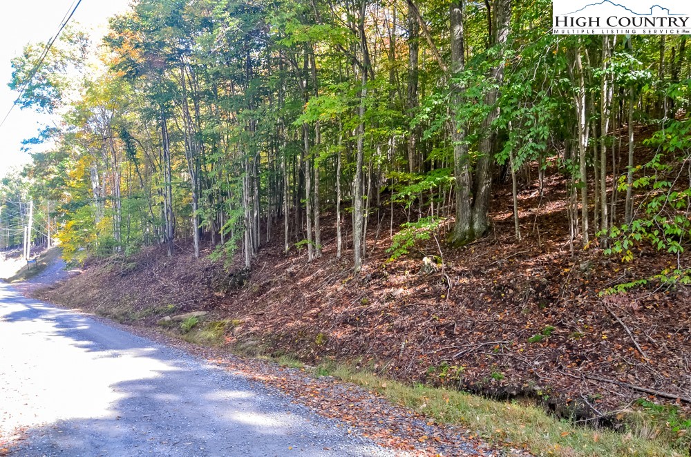 132 Locust Ridge Road Beech Mountain, NC 28604 - Photo 7 of 8 Gallery Image 7