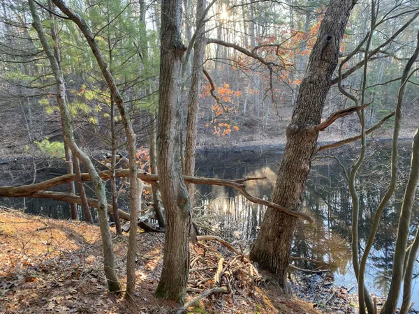 $49,999 | Vl Mill Pond Trail, Whitehall, MI 49461