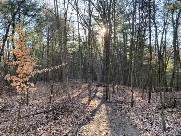 $49,999 | Vl Mill Pond Trail, Whitehall, MI 49461