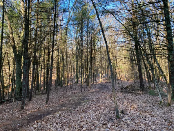 $49,999 | Vl Mill Pond Trail, Whitehall, MI 49461