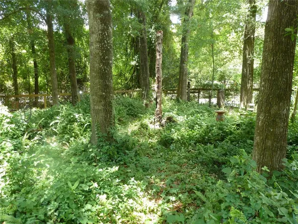 a view of outdoor space and green space