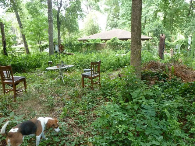 a view of a bench in a garden