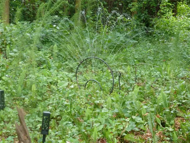 a view of a lush green space