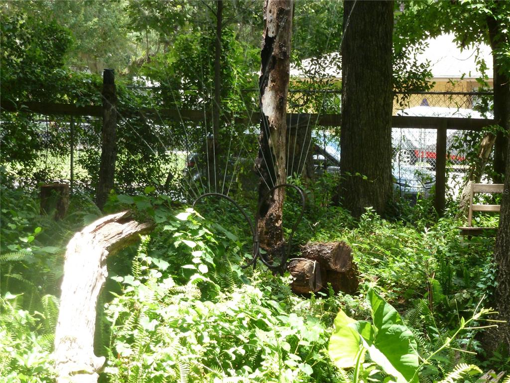 1031 Southwest 62nd Terrace Gainesville, FL 32607 - Photo 15 of 15 a backyard of a house with lots of green space and garden