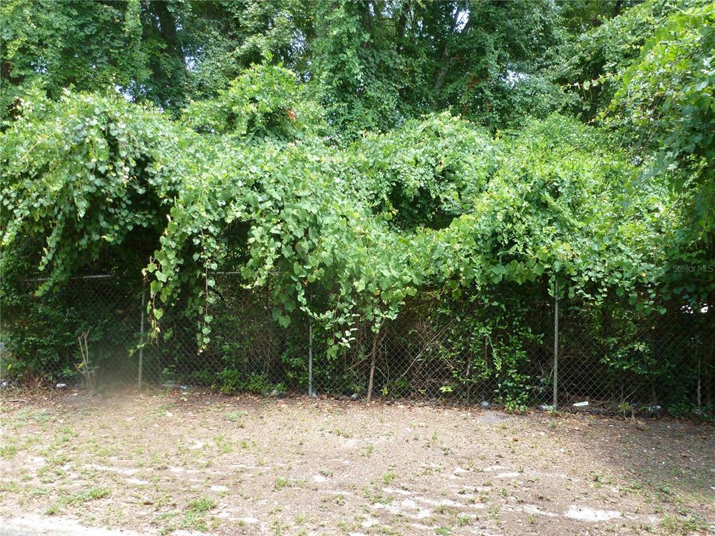 1031 Southwest 62nd Terrace Gainesville, FL 32607 - Photo 2 of 15 a view of a yard with plants and trees