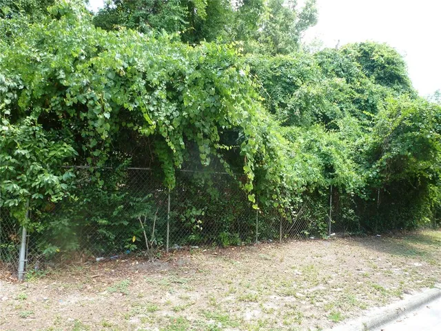 a view of a yard with plants and trees